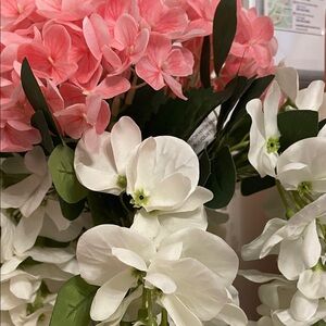 UNLISTED & LISTED SPECIAL $5 SALE!!! 10/23/25